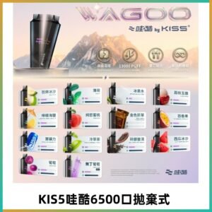 Kis5電子煙 Kiss拋棄式哇酷|WAGOO6500口一次性電子煙