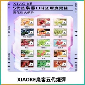 梟客五代煙彈|XIAOKE可替換式電子煙|通用Relx6代|ILIA五代主機