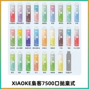 梟客XIAOKE|7500口可發光拋棄式電子煙 跑馬燈一次性